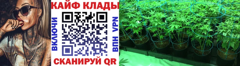 Виды наркотиков купить Ессентуки АМФЕТАМИН  МЕФ  Гашиш  Конопля 