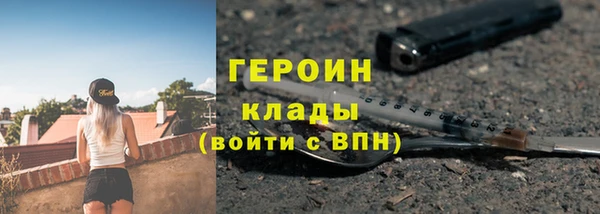 мдпв Ладушкин