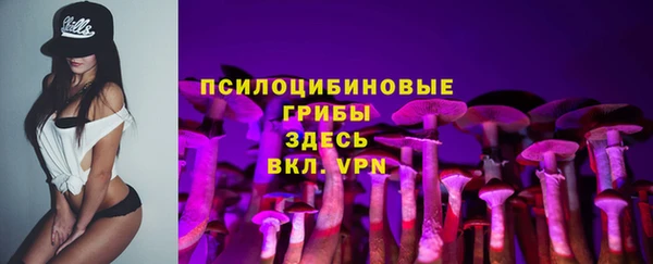 мдпв Ладушкин