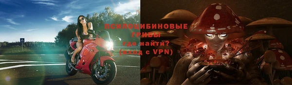 экстази Лагань