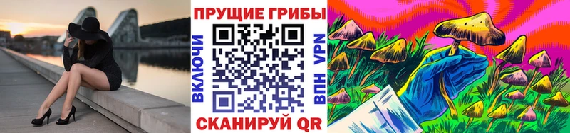 Псилоцибиновые грибы MAGIC MUSHROOMS  мега маркетплейс  Ессентуки 